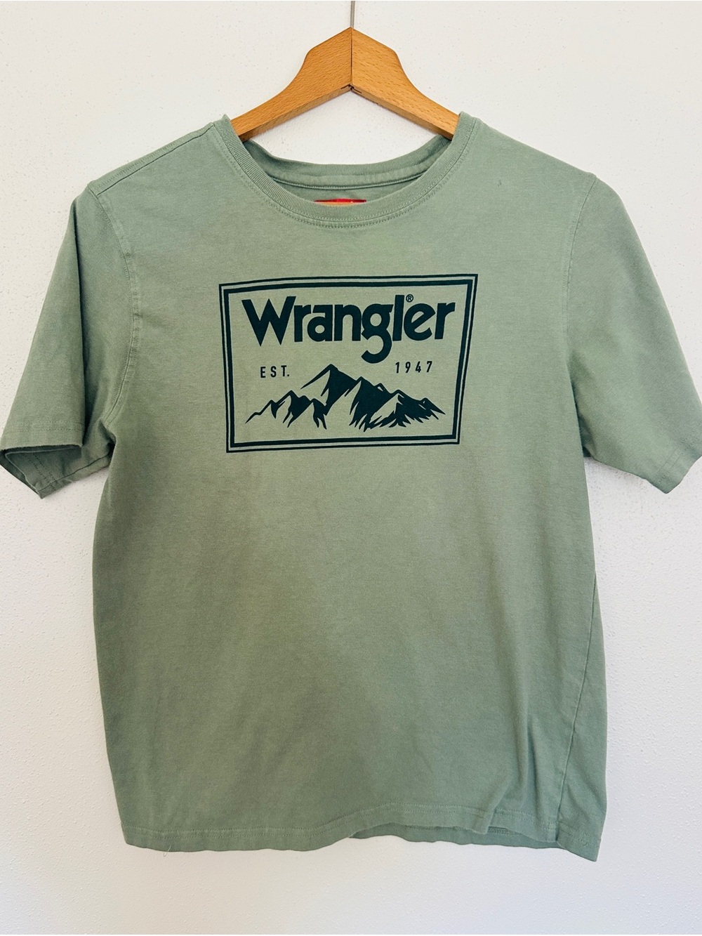 Wrangler Boys Sage Green Mountain Graphic Tee Size 18